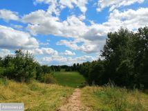 Działka budowlana Włodowo. Zdjęcie 4