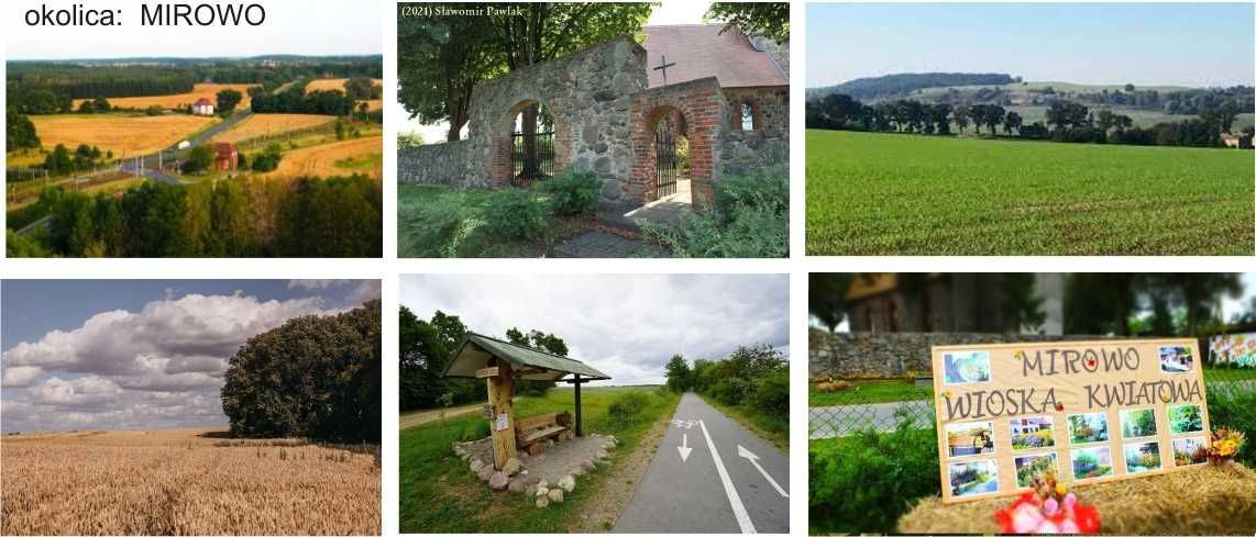 Działka rolno-budowlana Mirowo. Zdjęcie 5