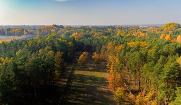 Działka budowlana Pilica