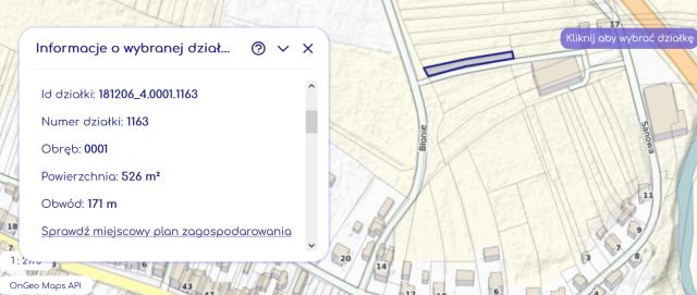 Działka leśna Rudnik nad Sanem, ul. Sandomierska. Zdjęcie 1