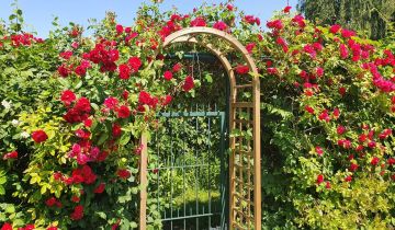 dom letniskowy Warszawa Dolny Mokotów, ul. Imielińska