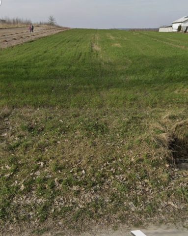 Działka rolno-budowlana Niemścice. Zdjęcie 1