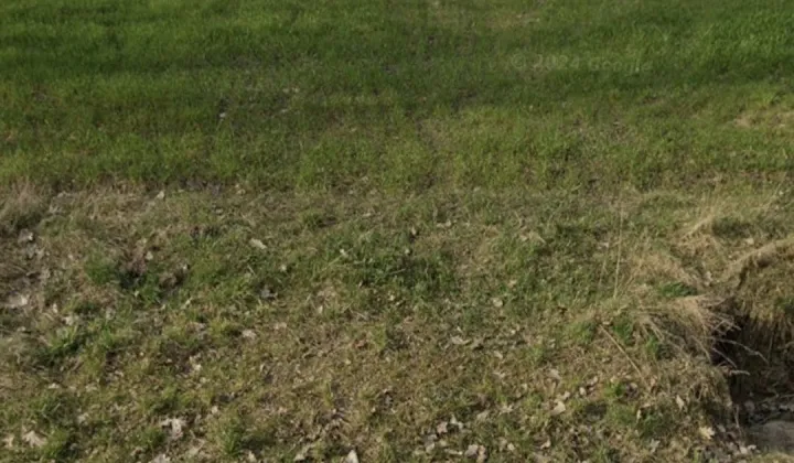 Działka rolno-budowlana Niemścice