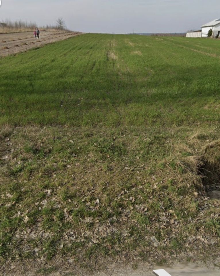 Działka rolno-budowlana Niemścice. Zdjęcie 1