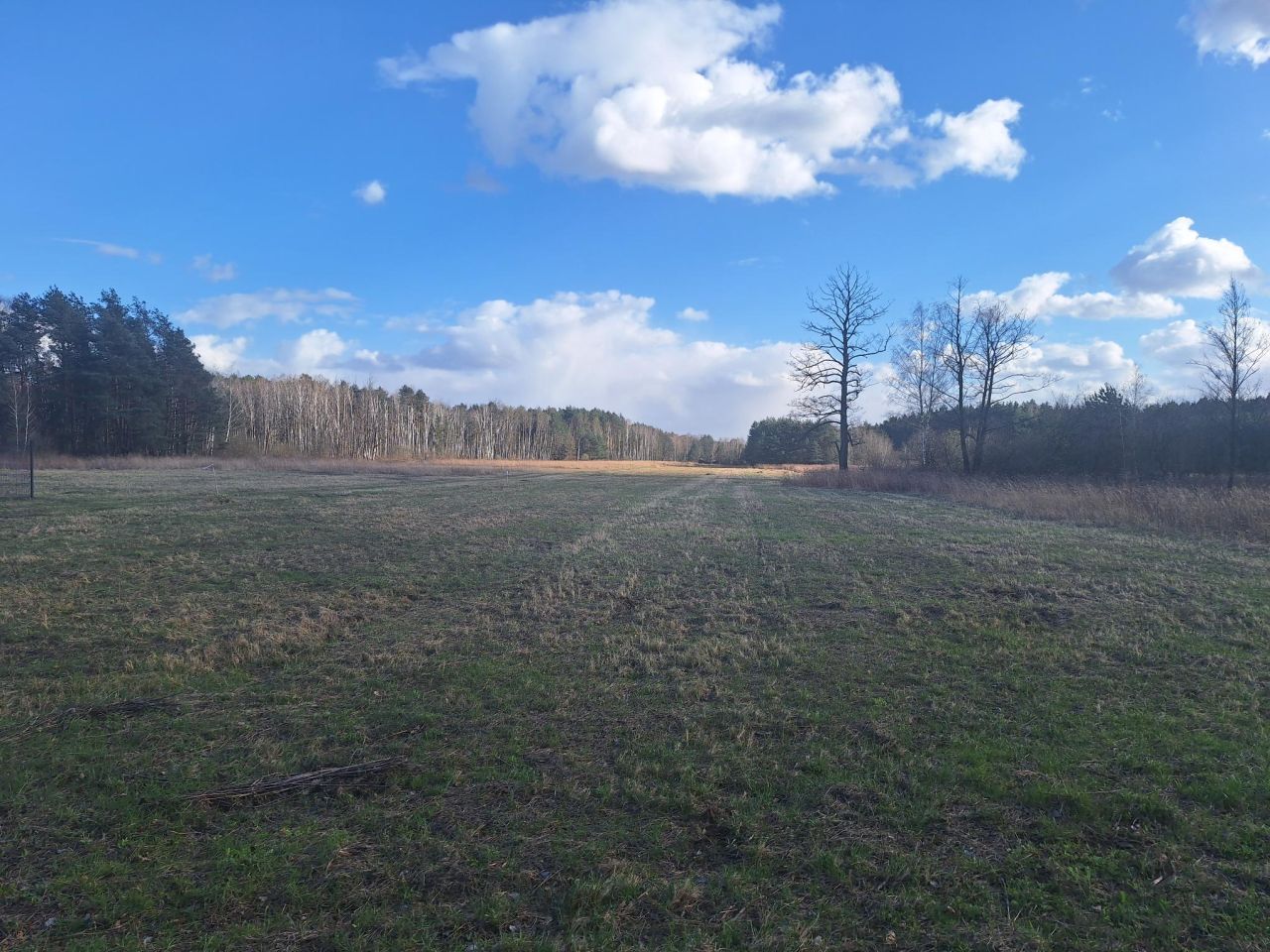 Działka inwestycyjna Żanęcin, Biesiadna. Zdjęcie 2