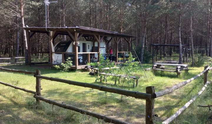 Działka leśna Konopaty