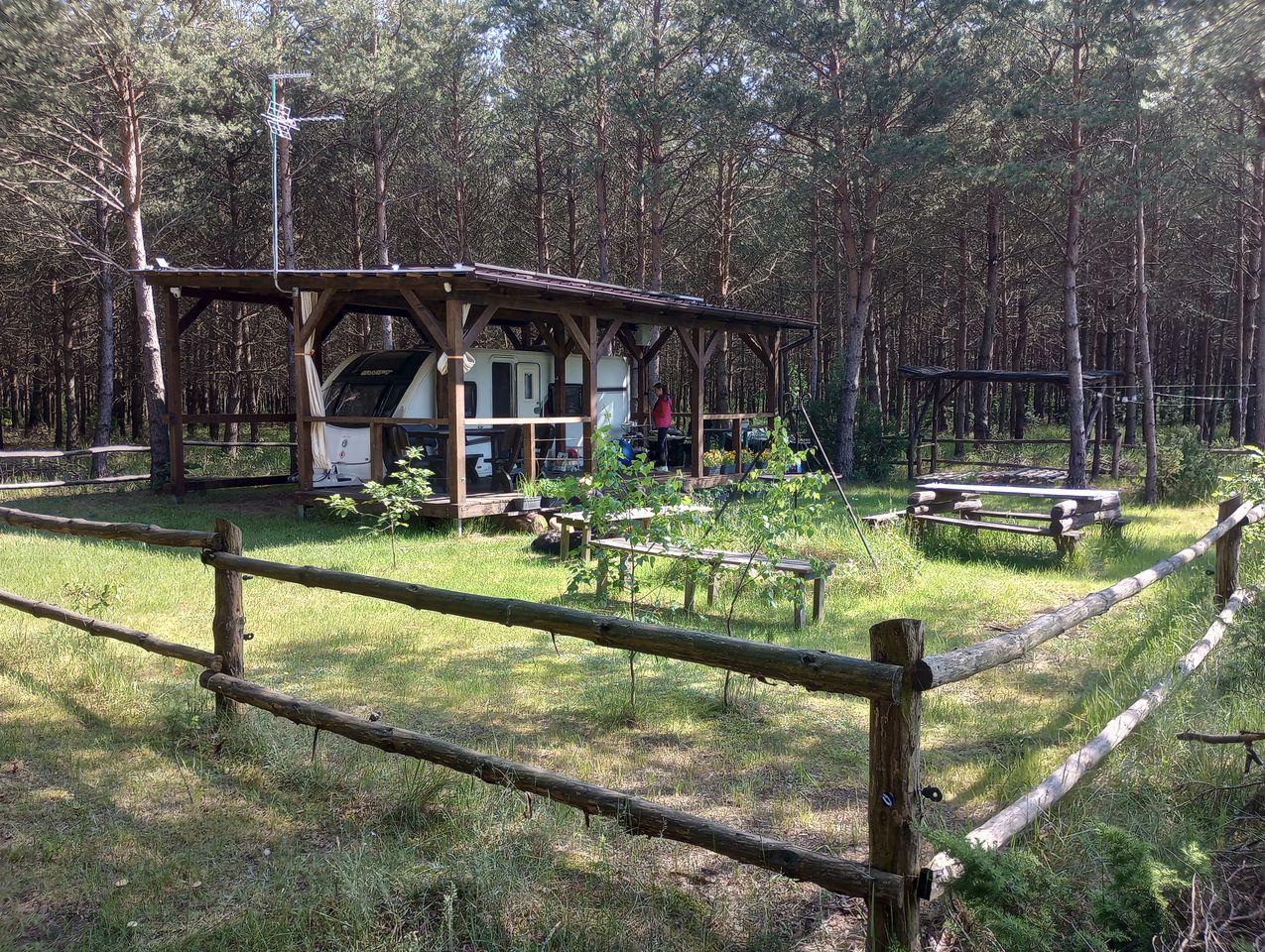 Działka leśna Konopaty. Zdjęcie 1