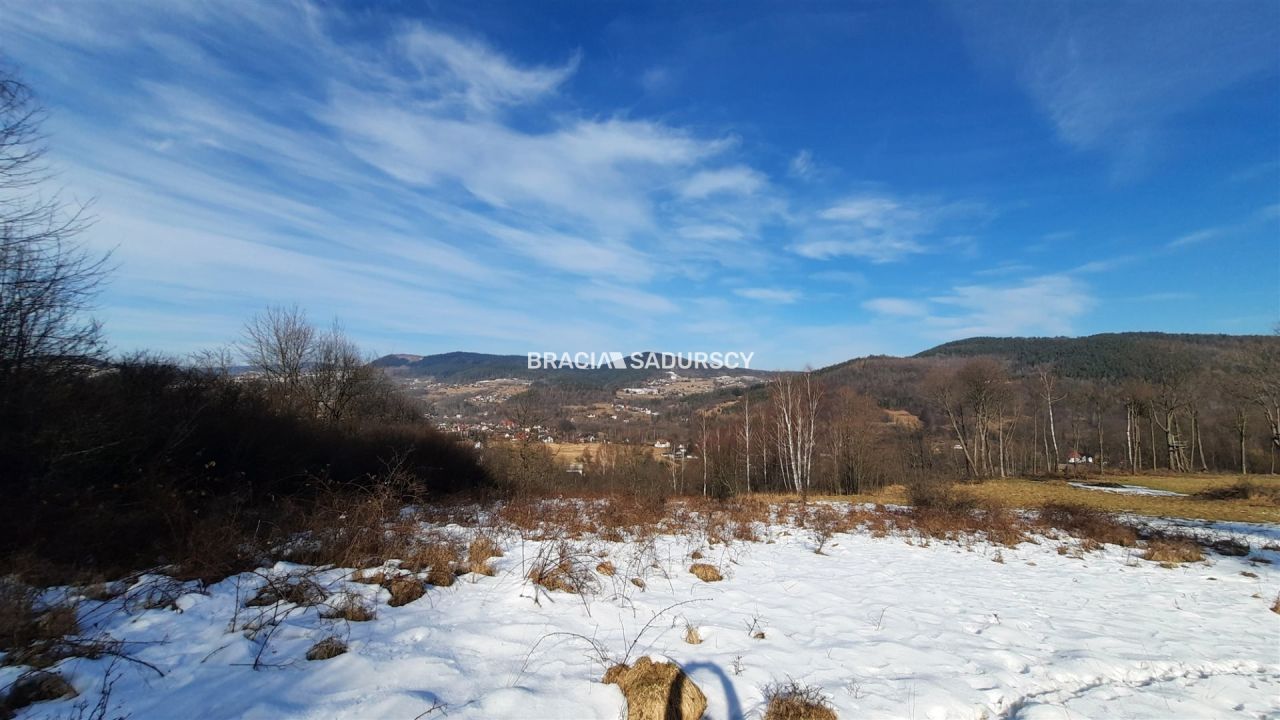 Działka leśna Stryszawa. Zdjęcie 9