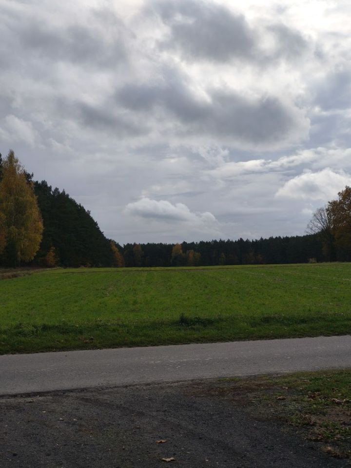 Działka budowlana Dziewuliny. Zdjęcie 2