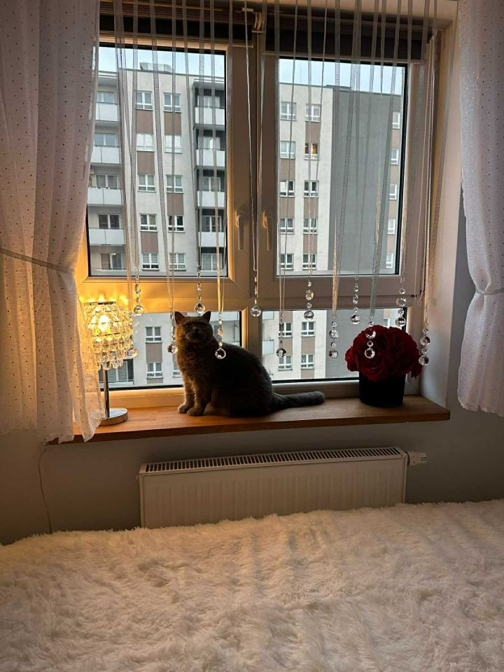 Mieszkanie 3-pokojowe Warszawa Wola. Zdjęcie 6