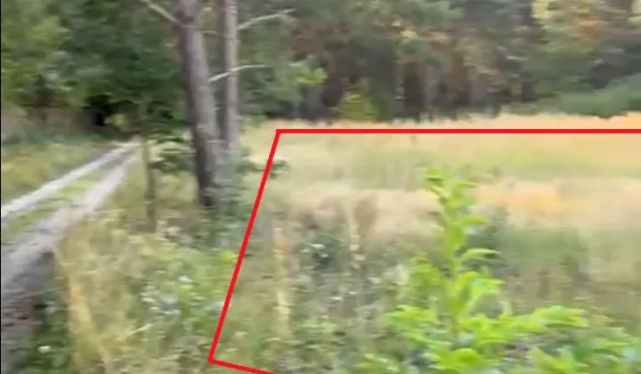 Działka budowlana Sucha, ul. Zaciszna