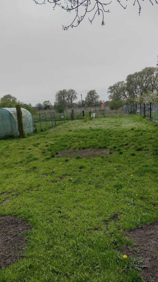 dom wolnostojący Stargard, ul. Wiejska. Zdjęcie 7