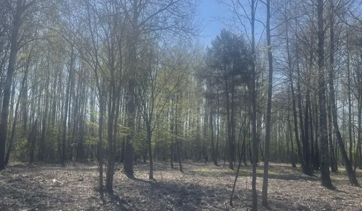 Działka budowlana Zaręby, ul. Kuropatwy