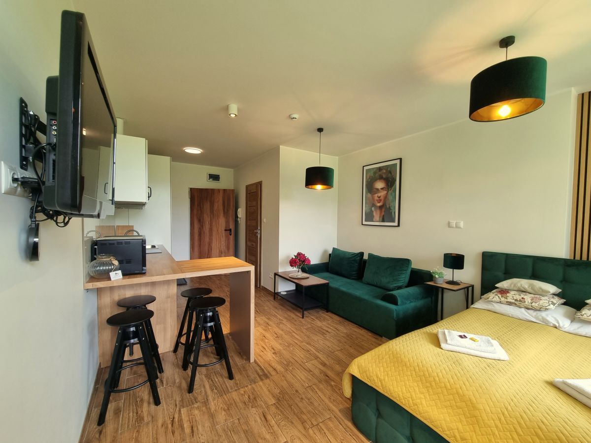 Mieszkanie 1-pokojowe Karpacz. Zdjęcie 6