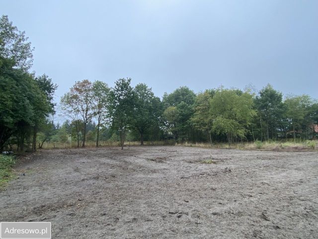 Działka budowlana Żółwin, ul. Łąkowa. Zdjęcie 1
