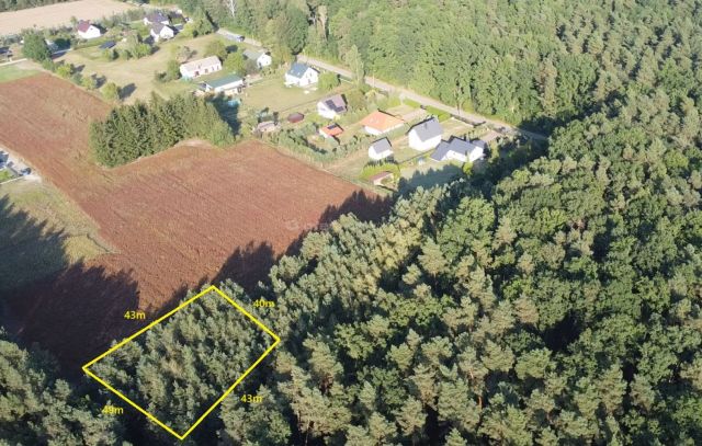 Działka budowlana Zalesie Borowe. Zdjęcie 3