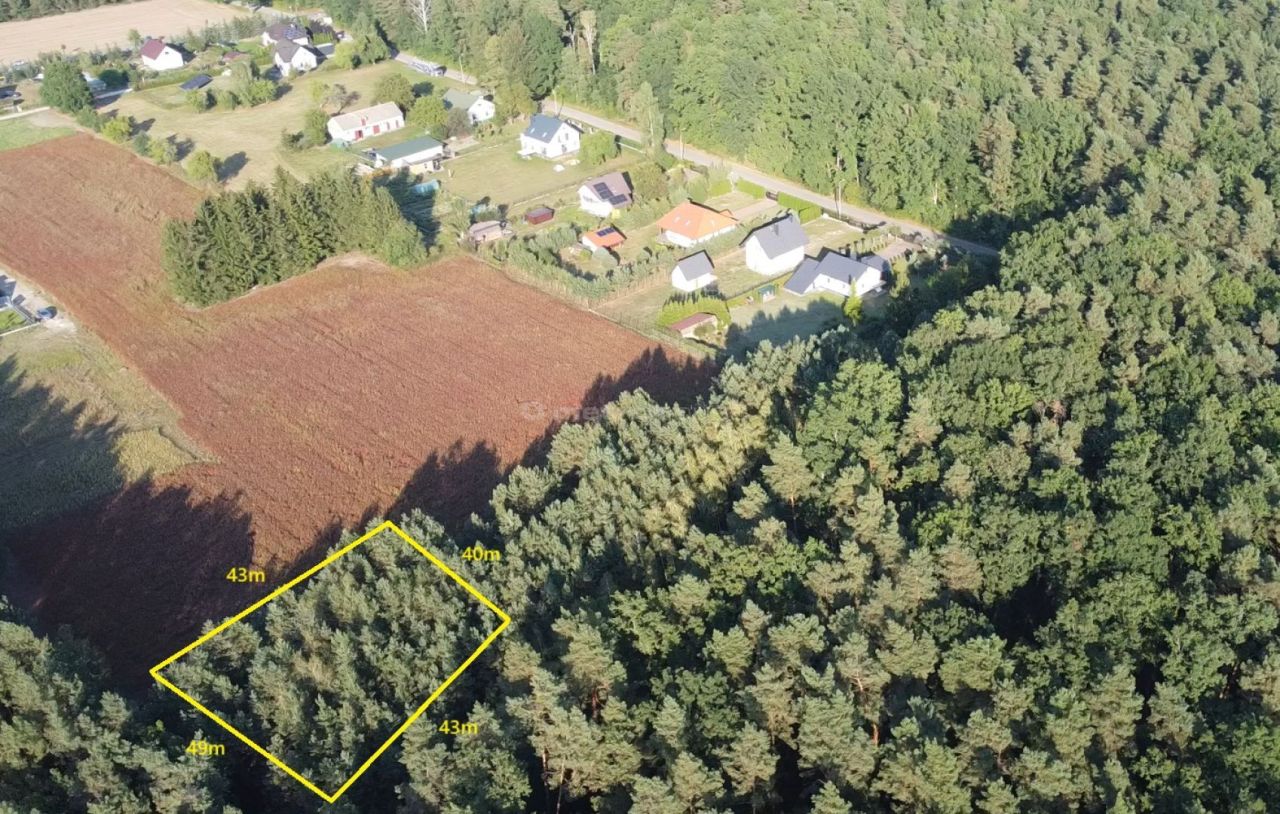 Działka budowlana Zalesie Borowe. Zdjęcie 3