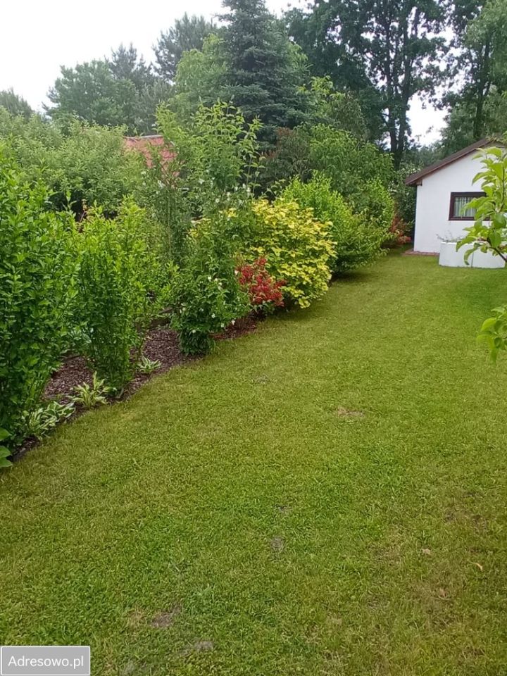 Działka rod Ostrowiec Świętokrzyski, ul. Las Rzeczki. Zdjęcie 5