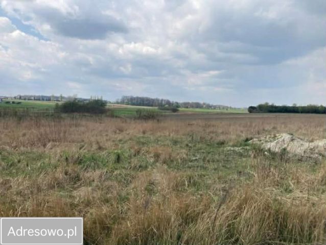 Działka budowlana Paniówki, ul. Zabrska. Zdjęcie 1