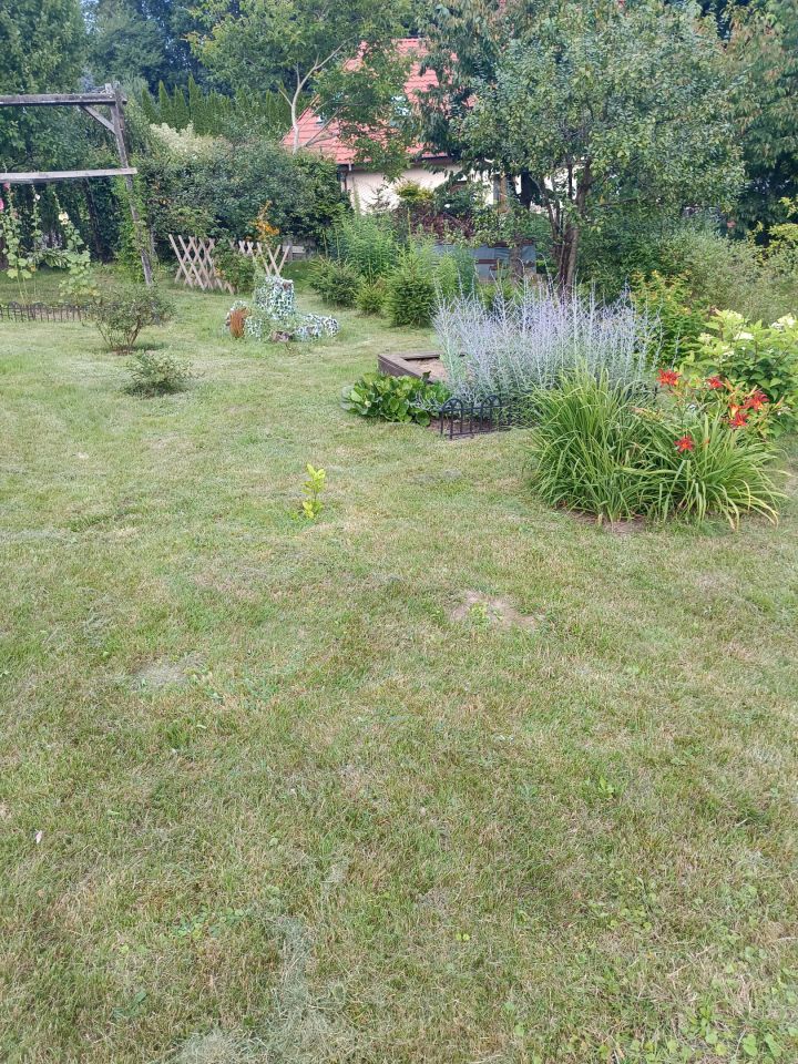 Działka rod Elbląg Dąbrowa, Krolewiecka. Zdjęcie 7