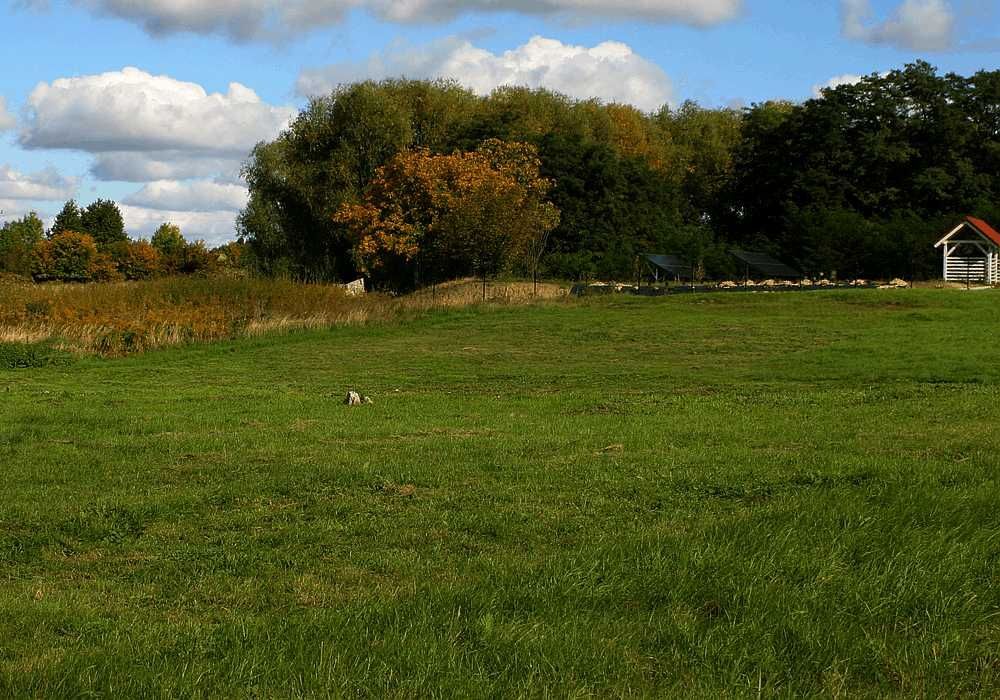 Działka budowlana Złotogłowice. Zdjęcie 6
