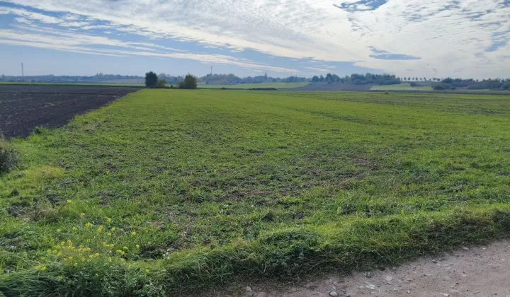 Działka rolna Przydatki Gołaszewskie