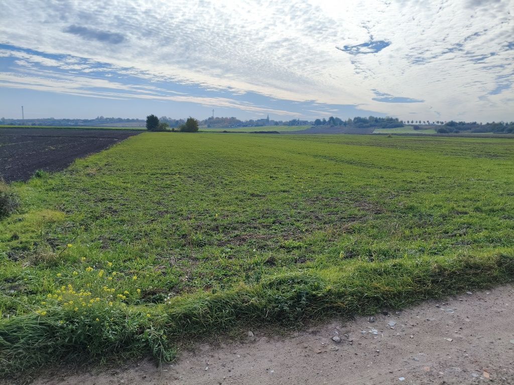 Działka rolna Przydatki Gołaszewskie. Zdjęcie 1