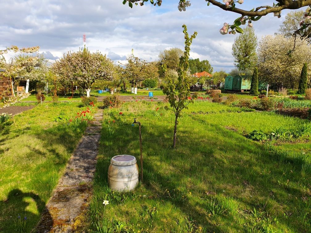 Działka rod Malbork, ul. Toruńska. Zdjęcie 4