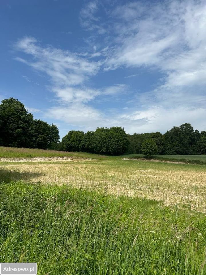Działka rolno-budowlana Lipsko-Polesie. Zdjęcie 4
