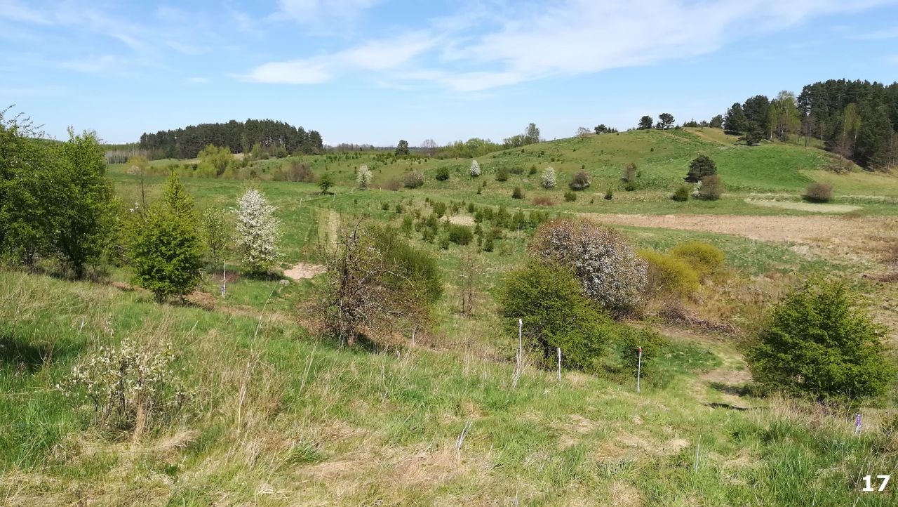 Działka budowlana Łaniewo. Zdjęcie 17