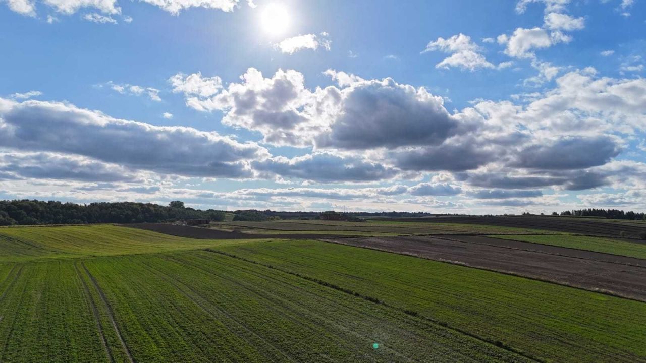 Działka rolno-budowlana Minoga. Zdjęcie 4