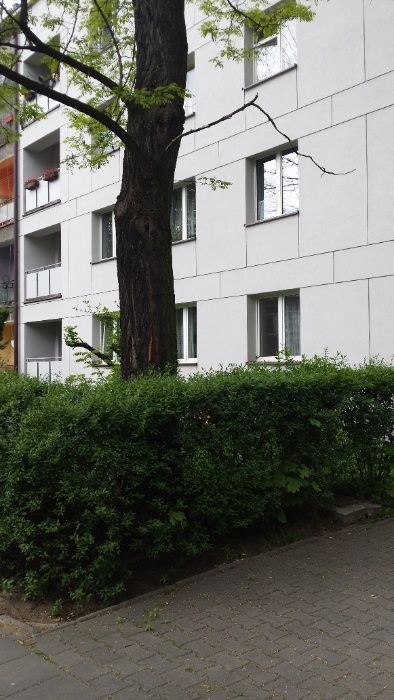 Mieszkanie 2-pokojowe Katowice Ligota