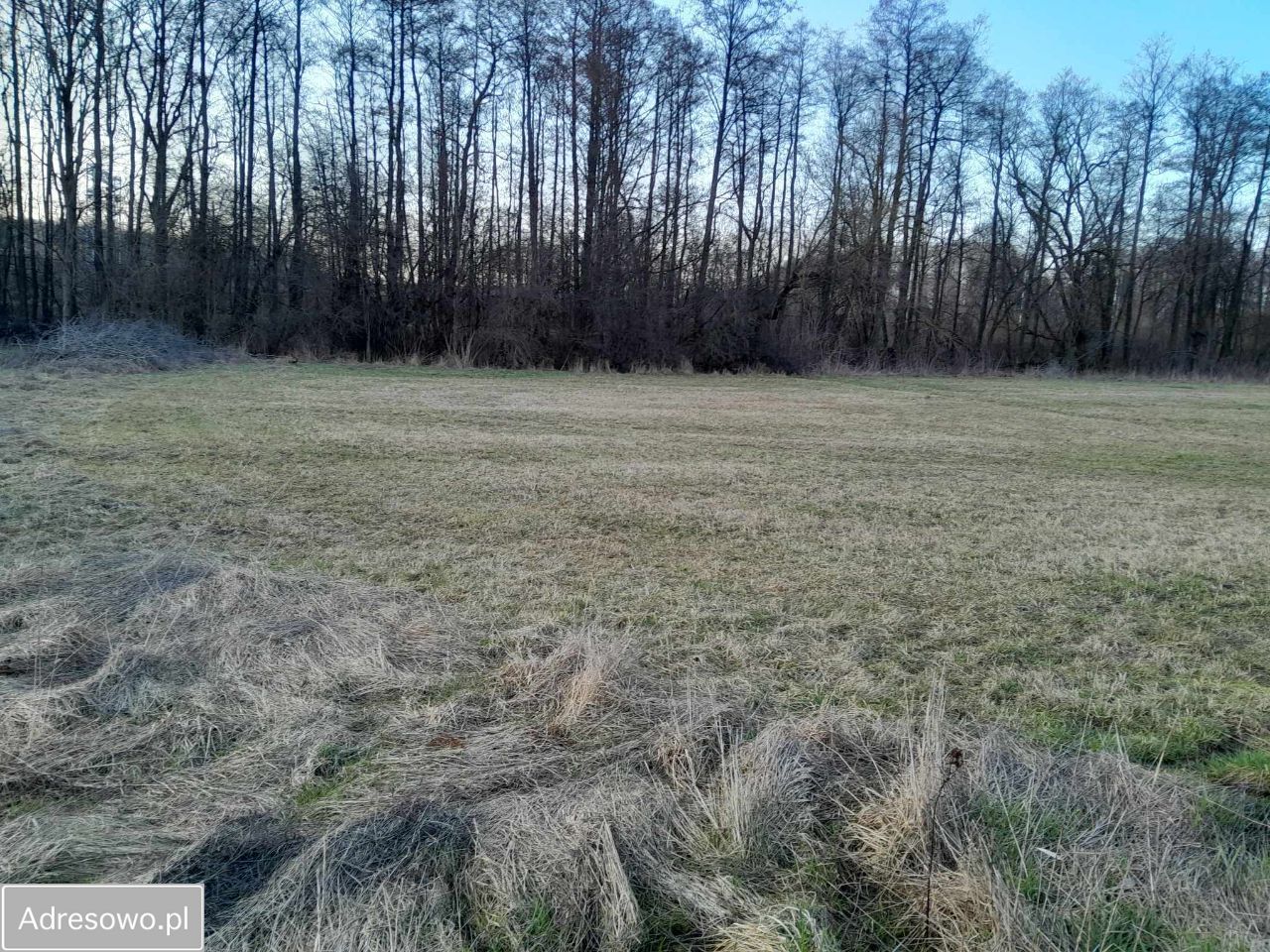 Działka budowlana Klepacze. Zdjęcie 6