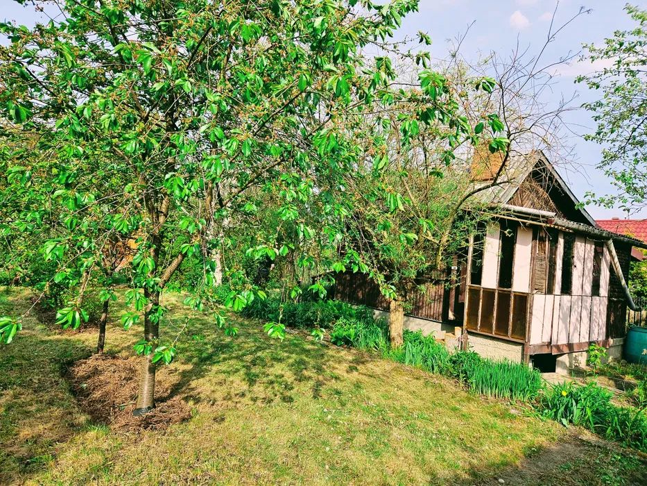 Działka rod Michałów-Reginów, ul. Warszawska. Zdjęcie 5