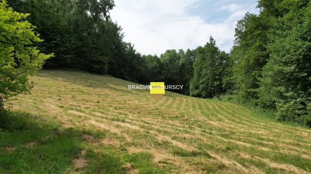 Działka budowlana Gorzków. Zdjęcie 24