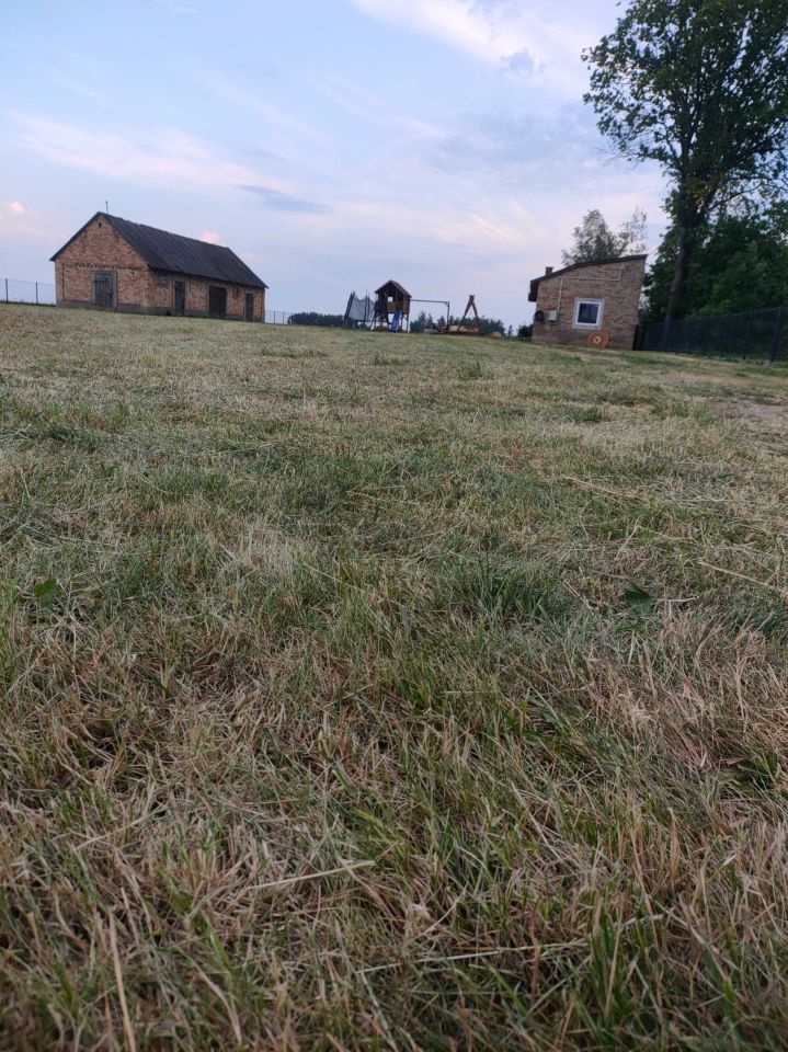 Działka siedliskowa Wólka Duża. Zdjęcie 5