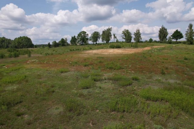 Działka rolno-budowlana Chojno. Zdjęcie 1