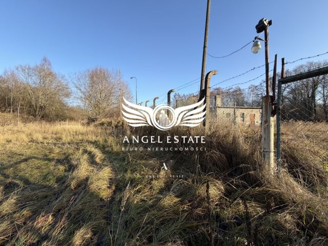 Działka Włodarka Chełm Gryficki. Zdjęcie 2