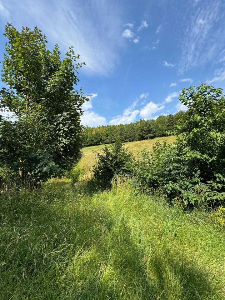 Działka rolna Jerzmanowice. Zdjęcie 3