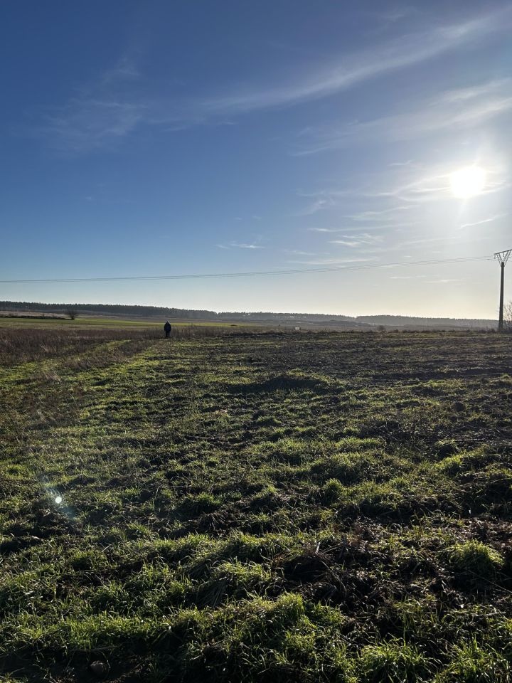 Działka rolno-budowlana Moryń, ul. Owocowa. Zdjęcie 6