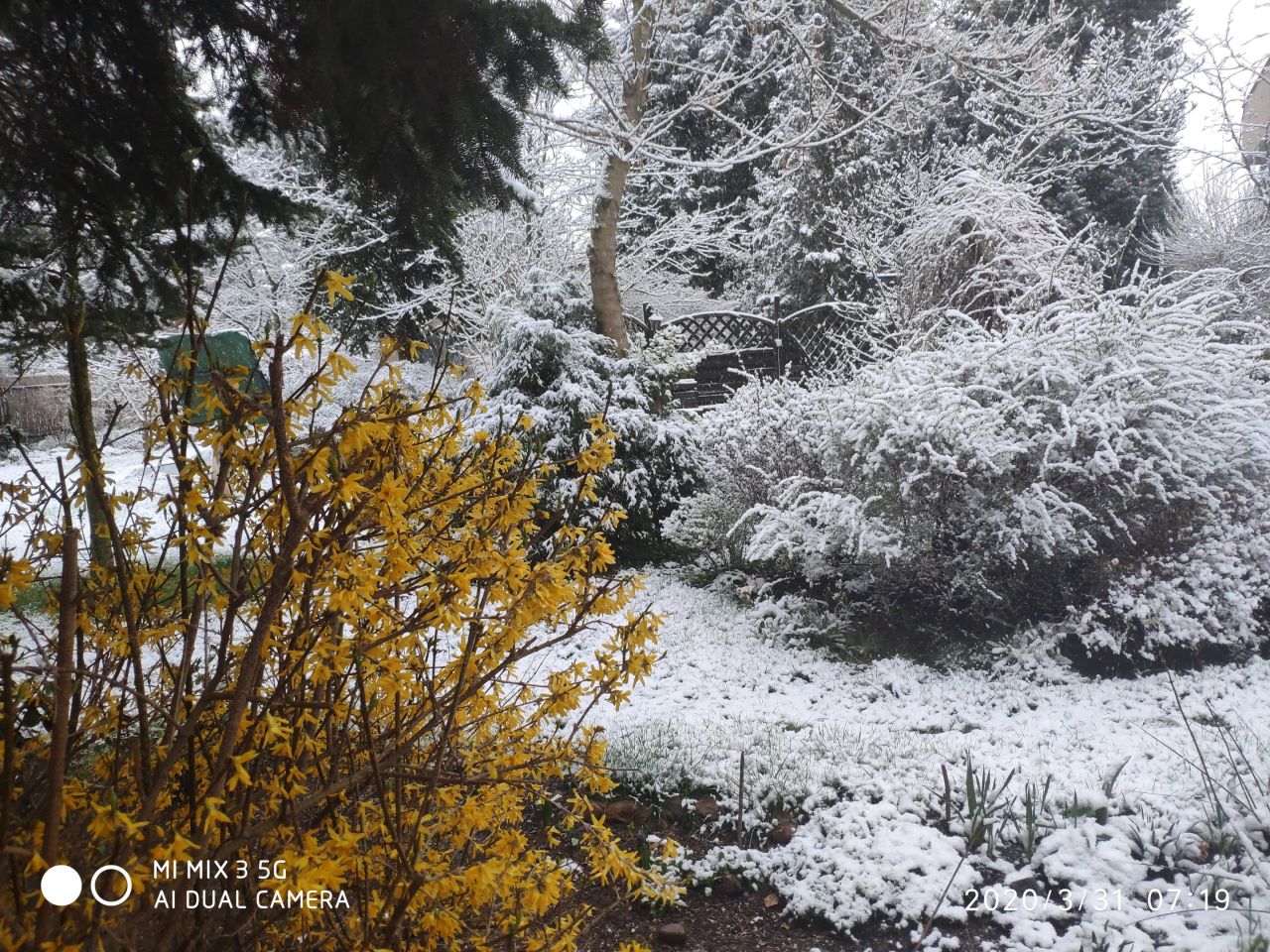 dom wolnostojący, 12 pokoi Radwanice, ul. Konstantego Ildefonsa Gałczyńskiego. Zdjęcie 32