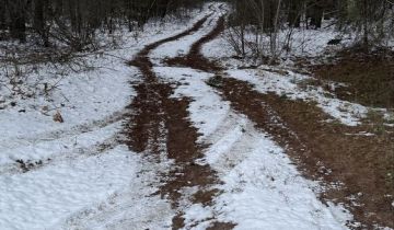 Działka leśna Turośń Dolna