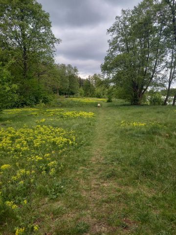 Działka rekreacyjna Dzbądz, Brak nazwy ulicy. Zdjęcie 5