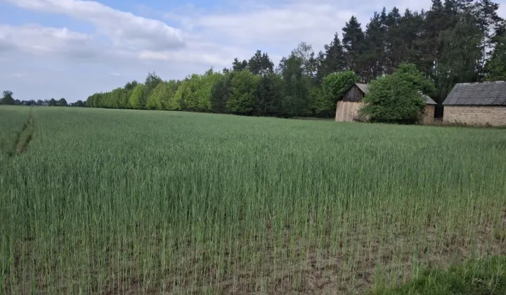 Działka budowlana Nowy Stanin