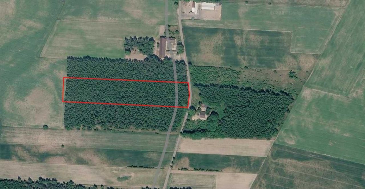 Działka rolna Kazimierzów. Zdjęcie 1