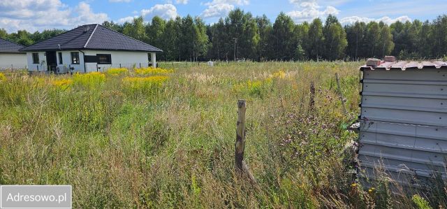 Działka budowlana Nowe Dąbie. Zdjęcie 1