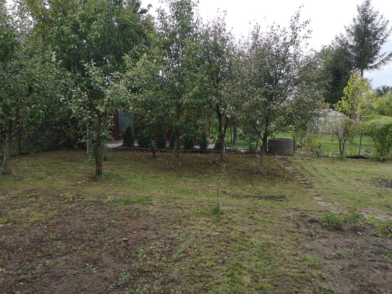 Działka rod Przasnysz, ul. Oszkobłok. Zdjęcie 5