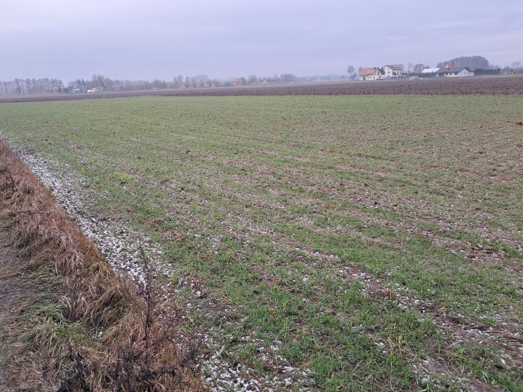 Działka budowlana Stary Toruń, ul. Wiosenna. Zdjęcie 2