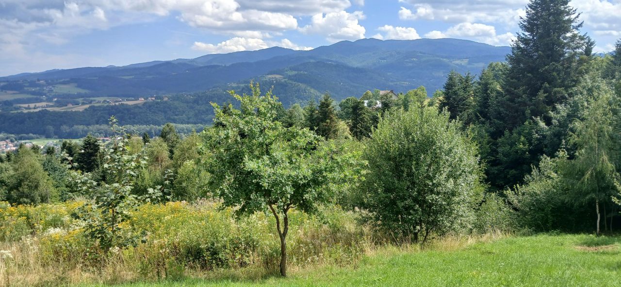 Działka budowlana Jazowsko Turchałówka