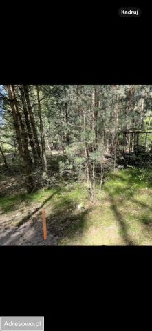 Działka rolno-budowlana Osiek nad Wisłą. Zdjęcie 1